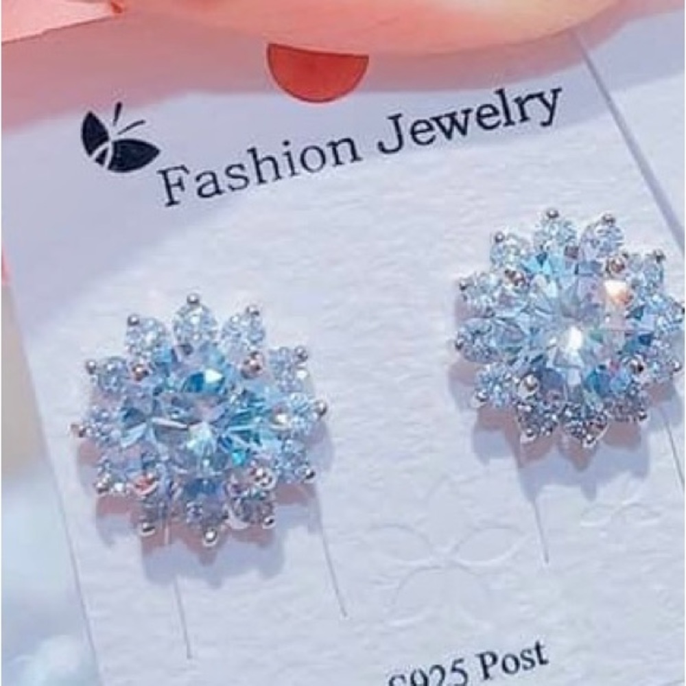 S925 Stering Silver Earrings